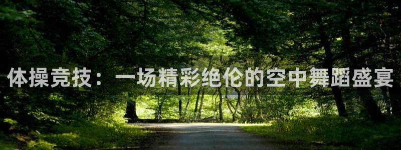 凯发官方正版app集团官网首页:体操竞技:一场精彩绝伦的空中