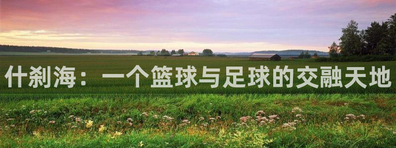 凯发官方正版app娱乐是那个系列的台子:什刹海:一个篮球与足